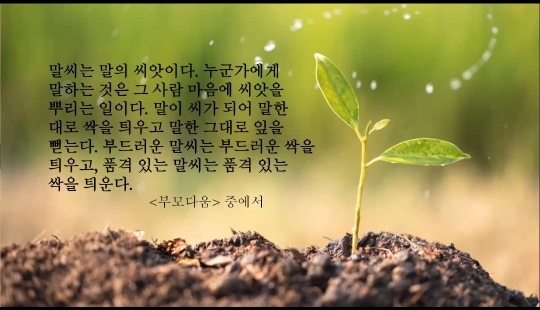담우 이미지