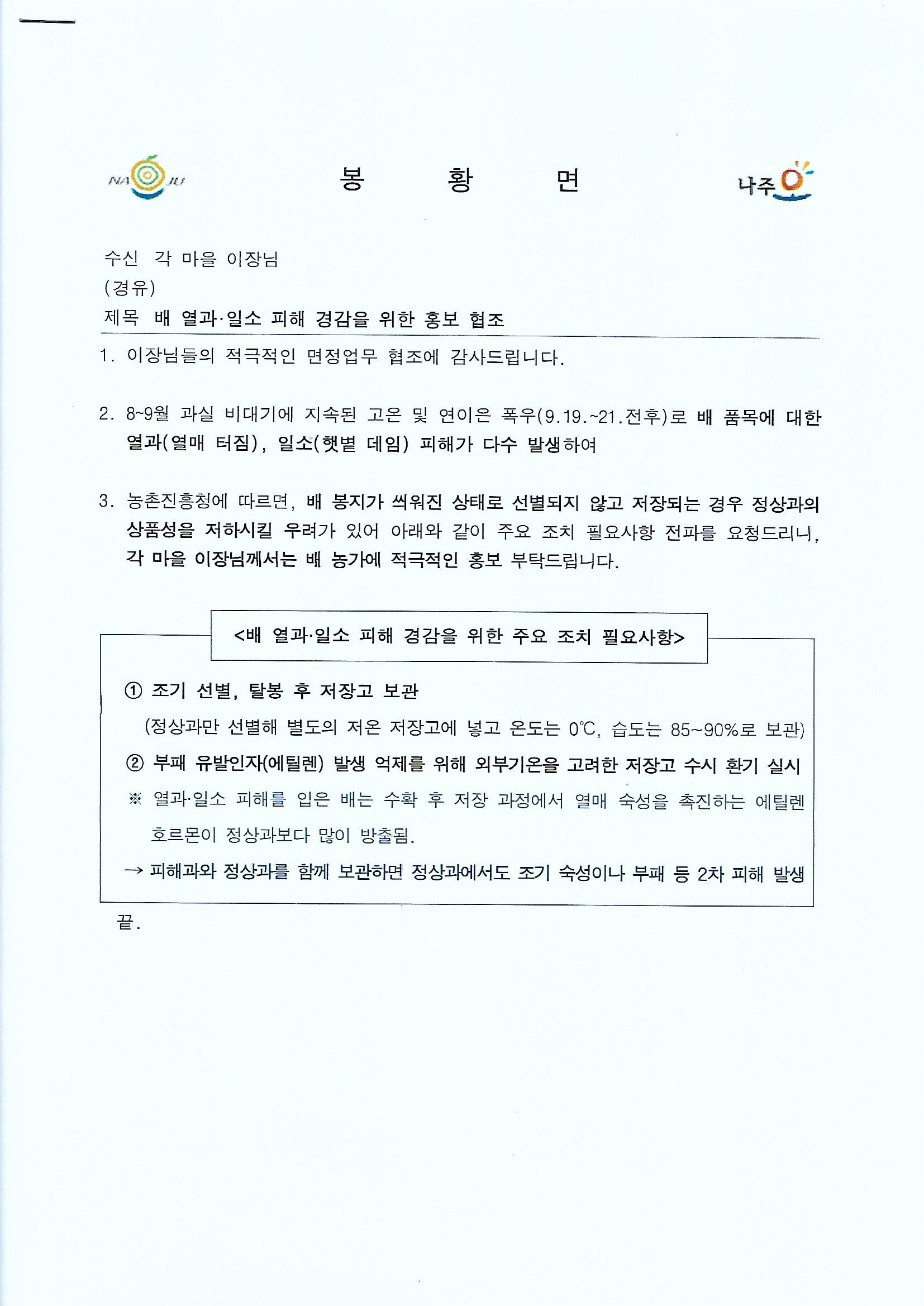 배*열 이미지
