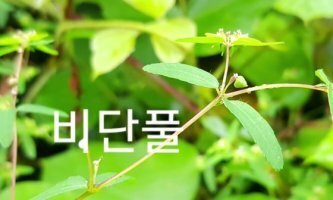 해와달 이미지