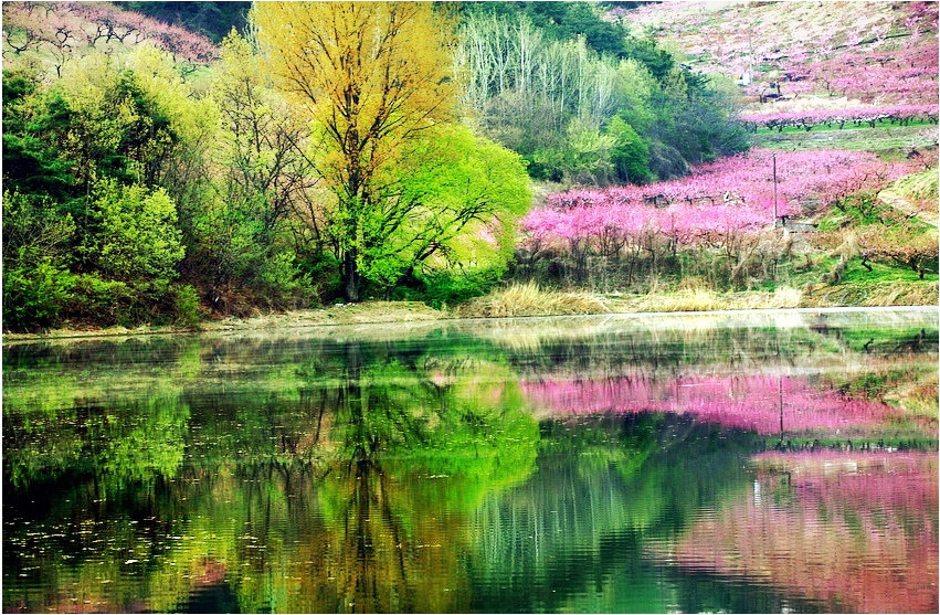 뭐꼬뭐꼬 이미지