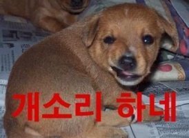 온각 이미지