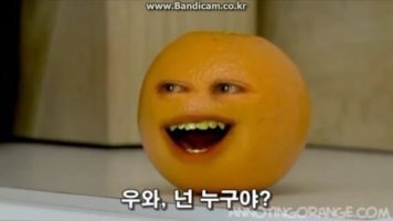 동그라미 이미지