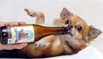토리 이미지