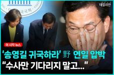 돈 천지 이미지