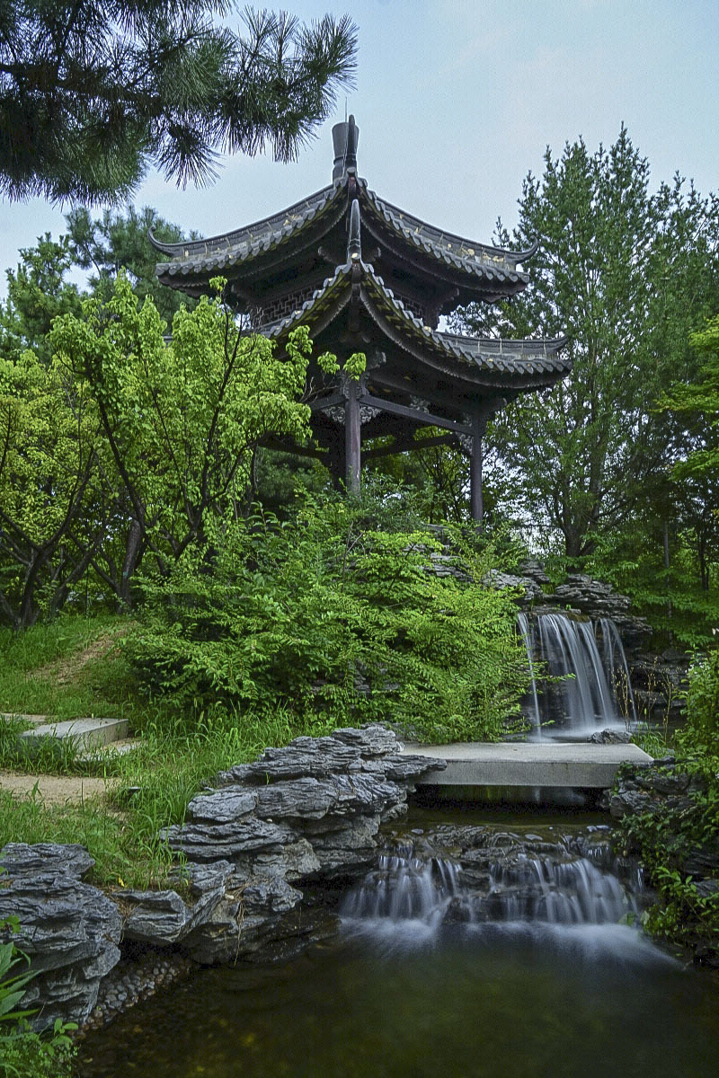 참새의정원 이미지