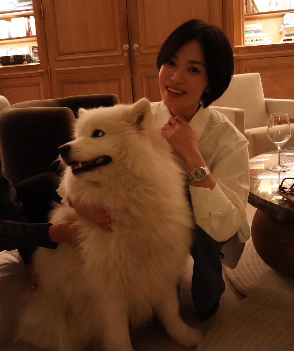별이 이미지