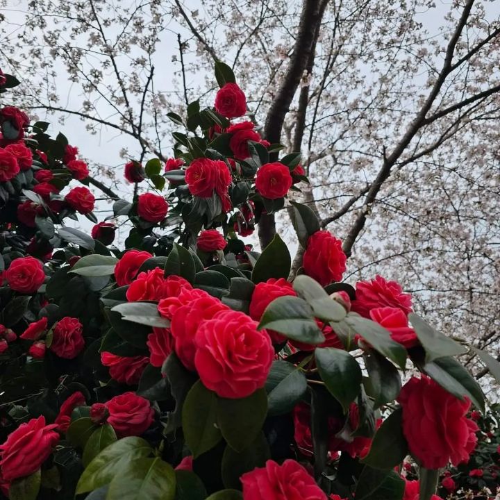 더봄남도집 이미지