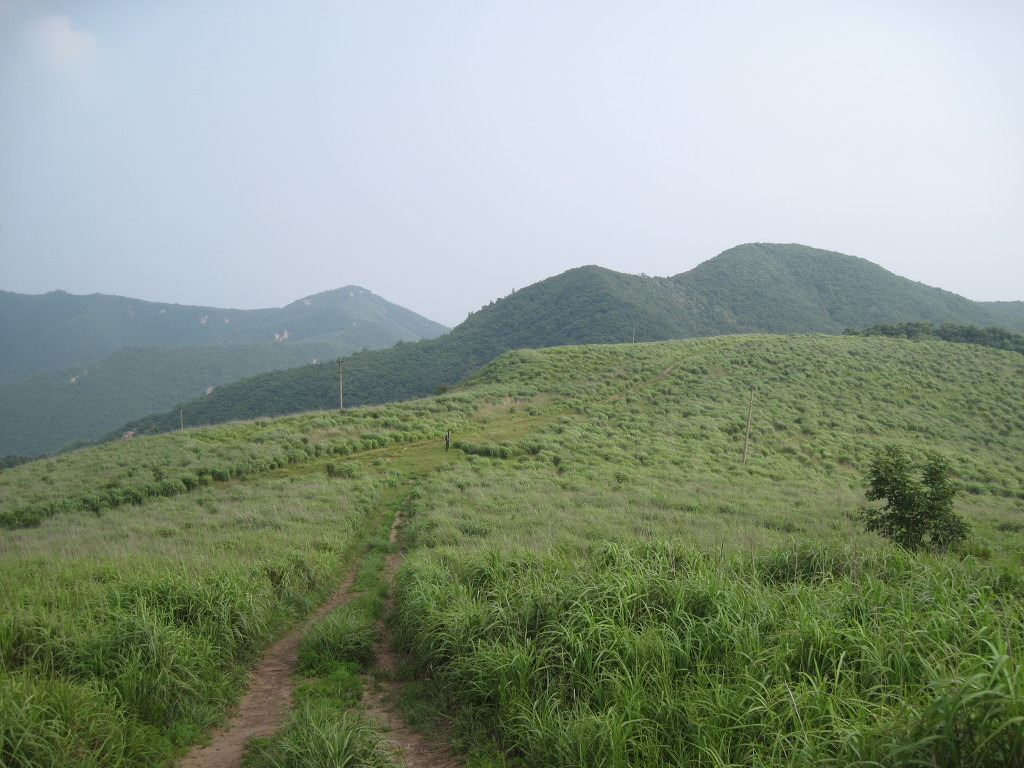 초원 대표 사진