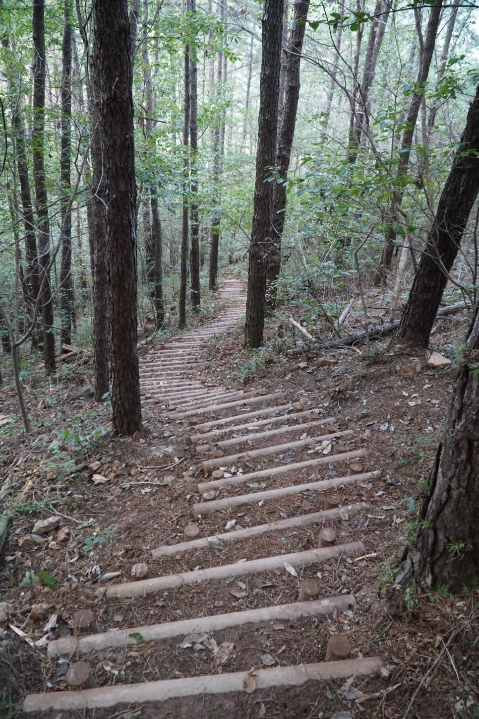 고덕산 이미지