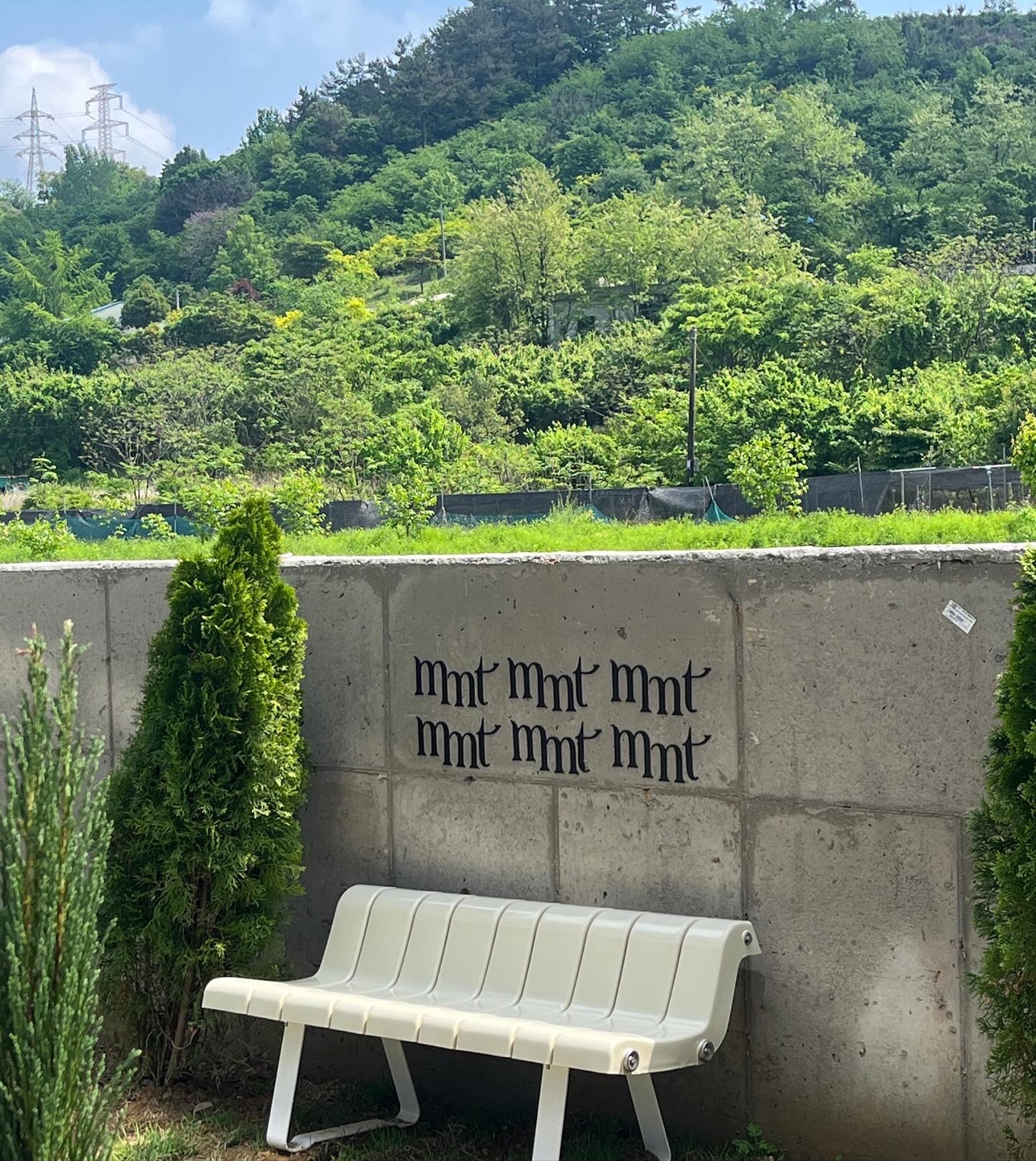 모멘텀 이미지