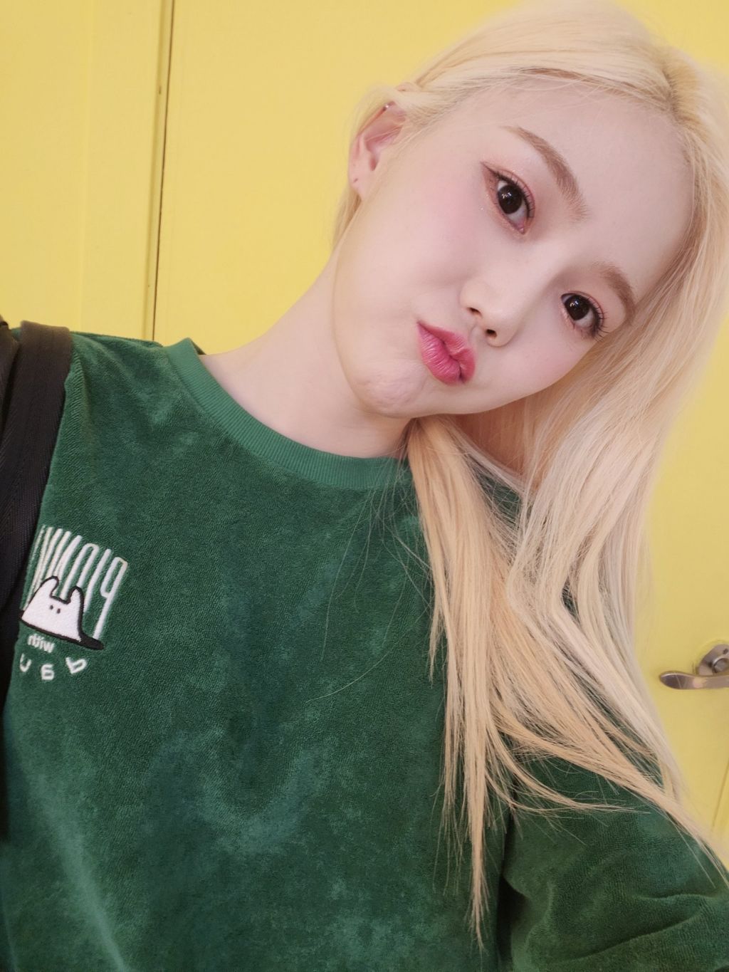 쩡이네 이미지