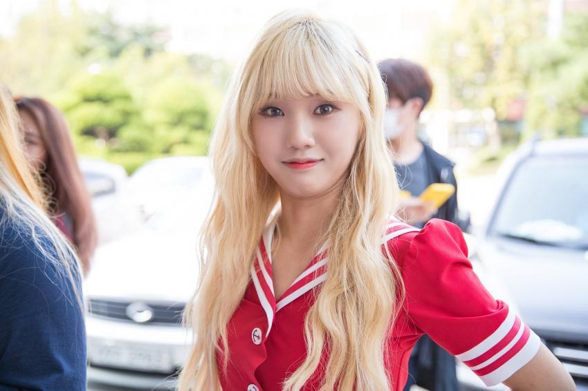미미시루 이미지