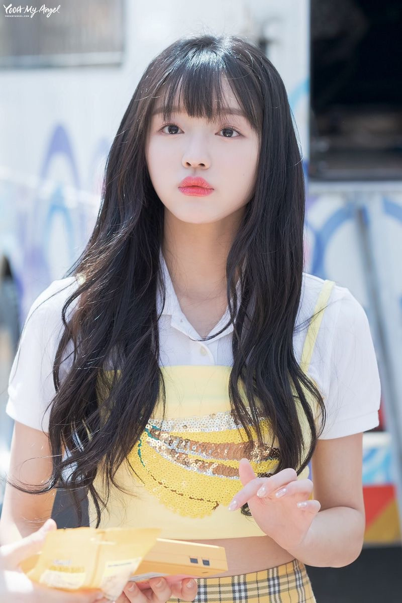 달링 이미지