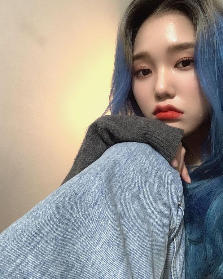 둥이 이미지