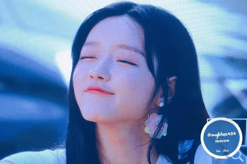 샤샤 이미지