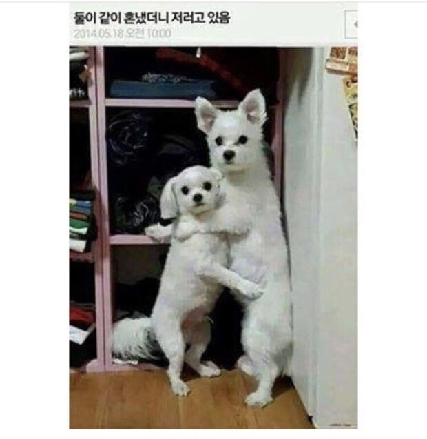 같이 이미지