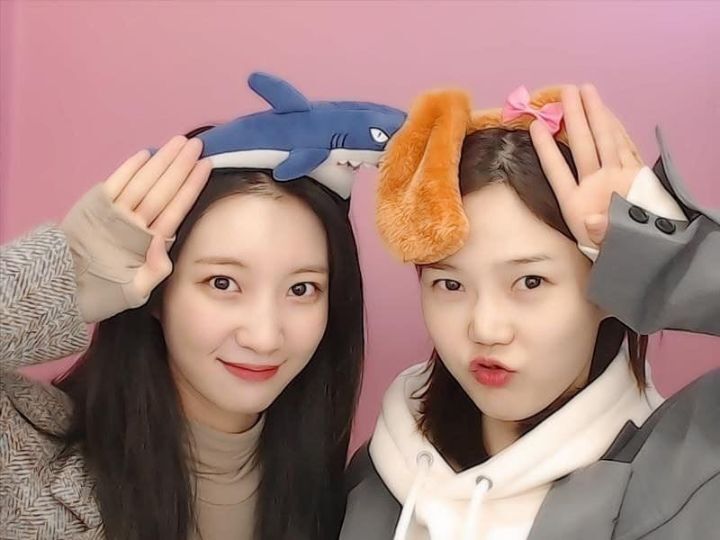 예설 이미지