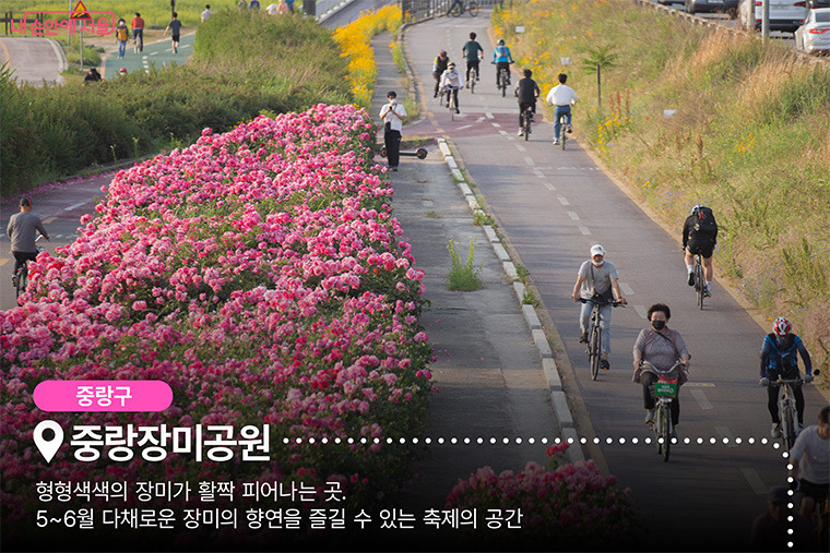 트립고잉 이미지