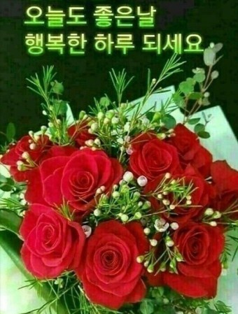 화요일 이미지
