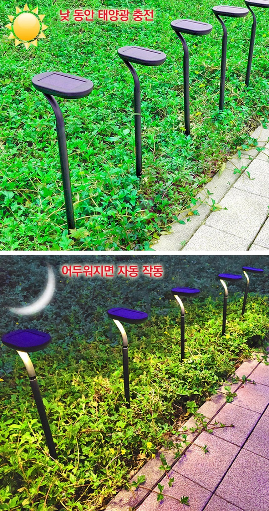 태양가든 이미지