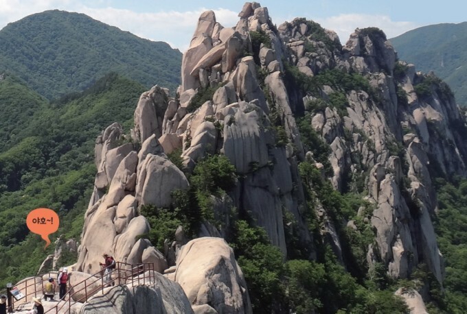 울산시 남구 선암호수공원 내 보탑사 정원에 매화가 수줍게 꽃망울을 터뜨리고 있다. 뉴스1