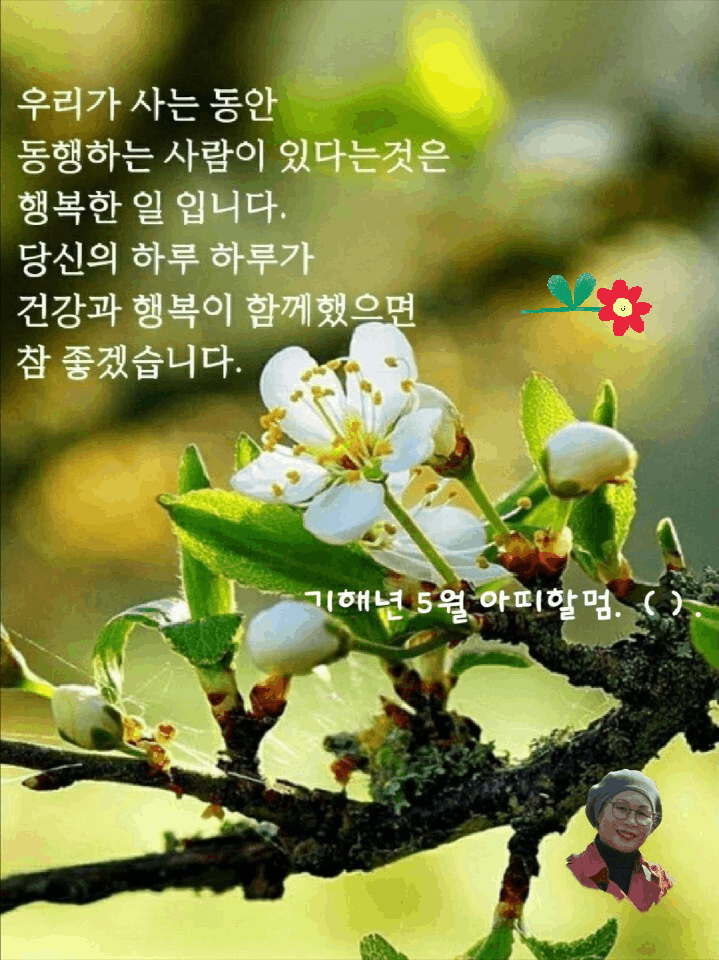 꽃사랑꽃구름 이미지
