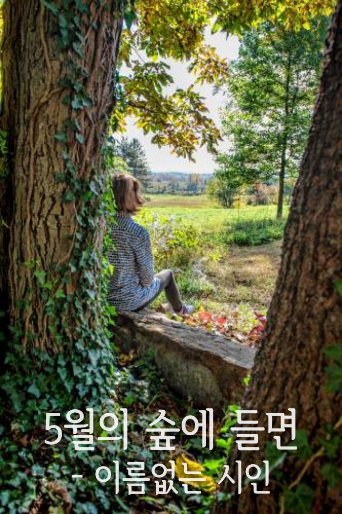 오월의숲 이미지