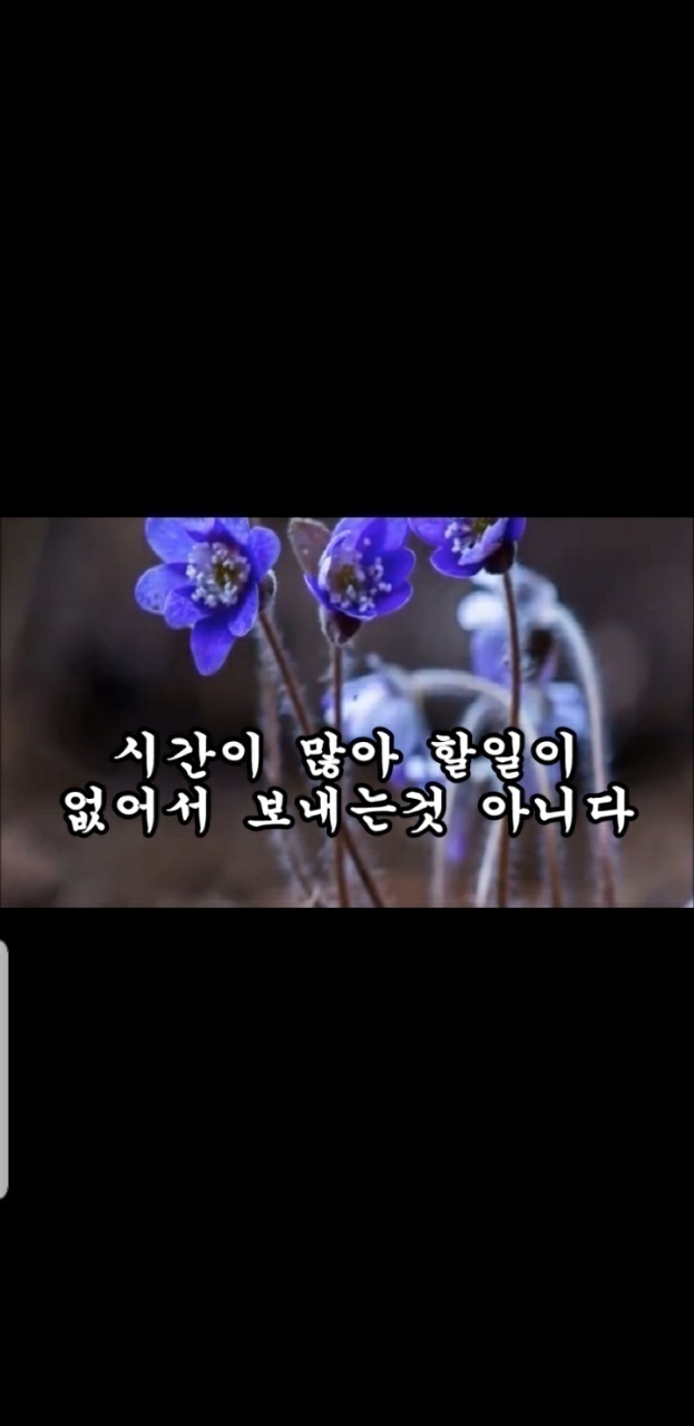 더우링 이미지