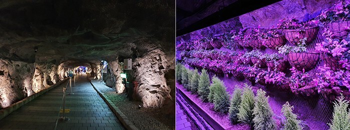 24일 서울 은평구 불광천변에 많은 시민들이 나와서 가볍게 운동을 하거나 산책을 즐기고 있다. 김동주 기자
