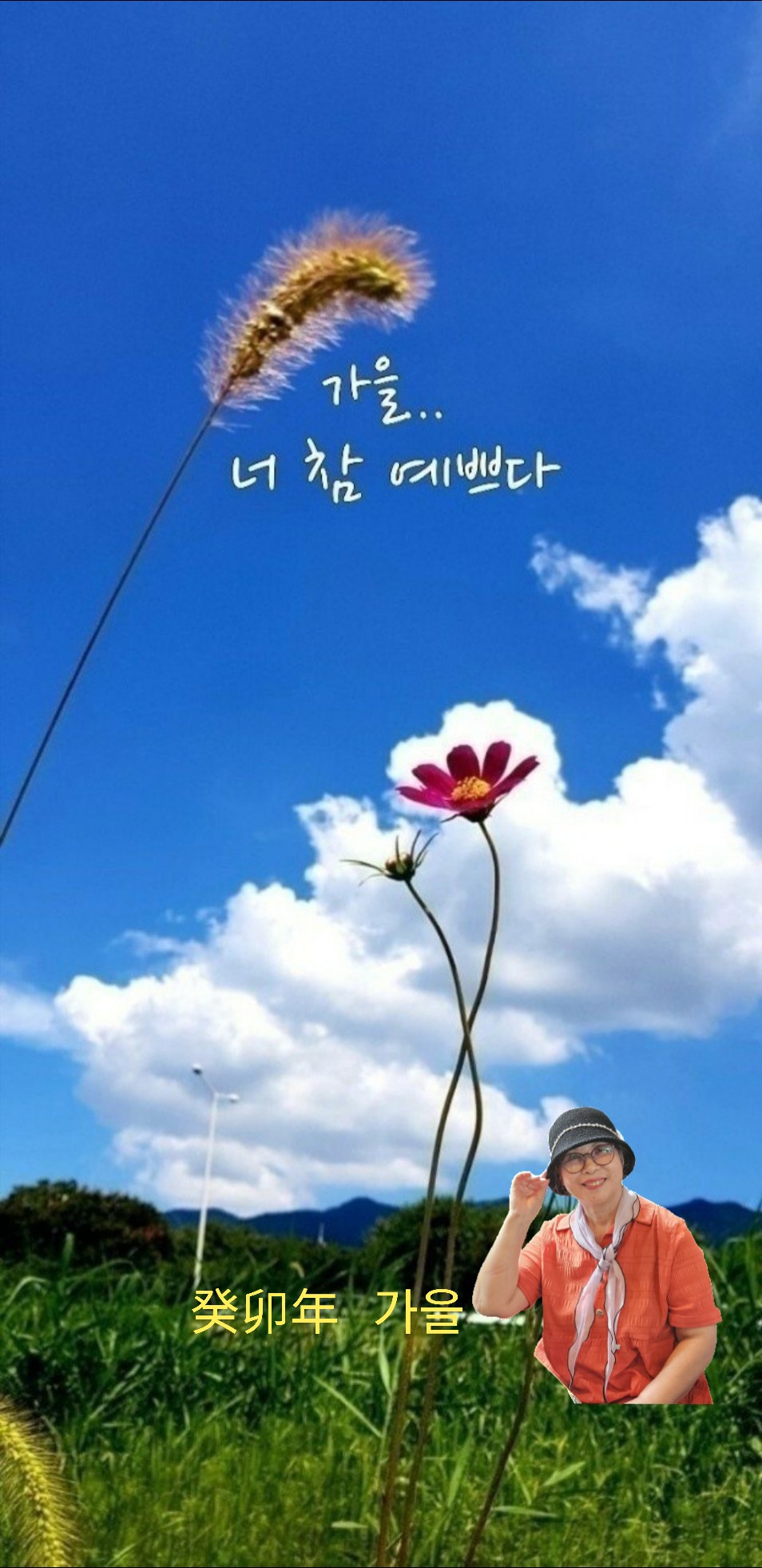 커피숲 이미지