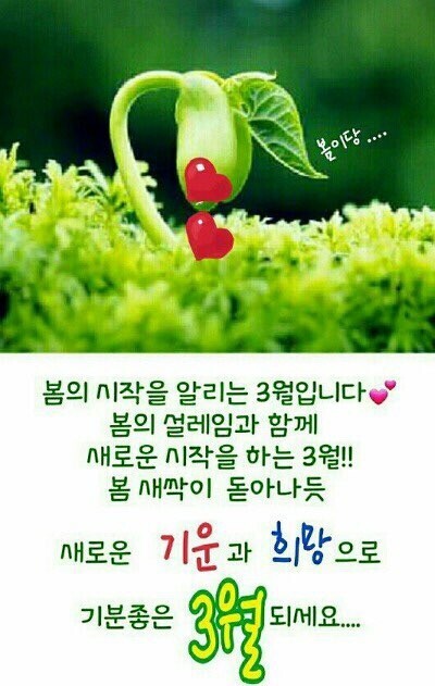 행복한3월 이미지