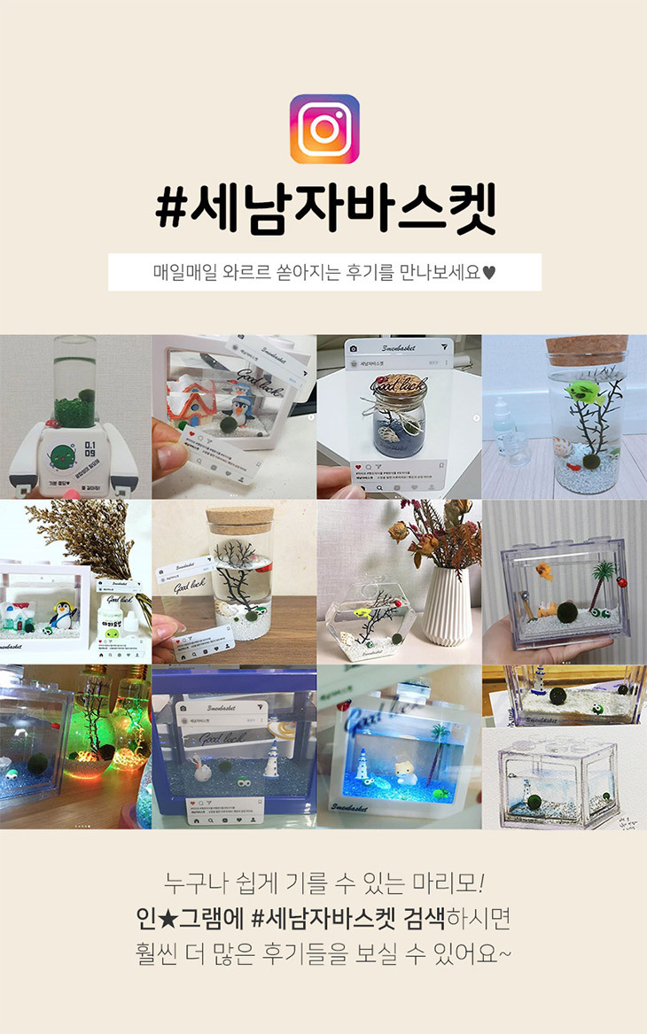 마리모 이미지