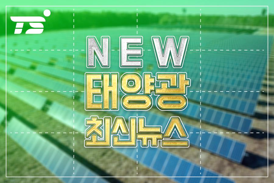 태양회계법인 이미지