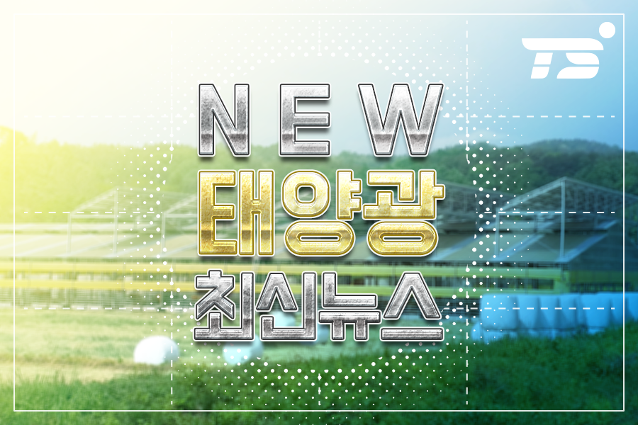 이앤에스그린 이미지