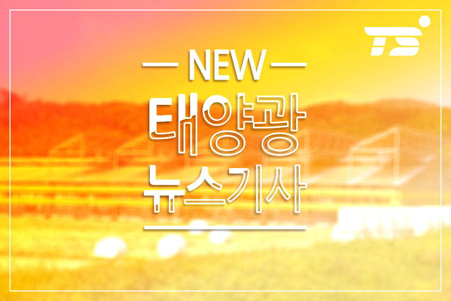 태양인력지원 이미지