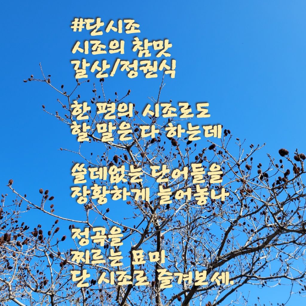 참맛 이미지