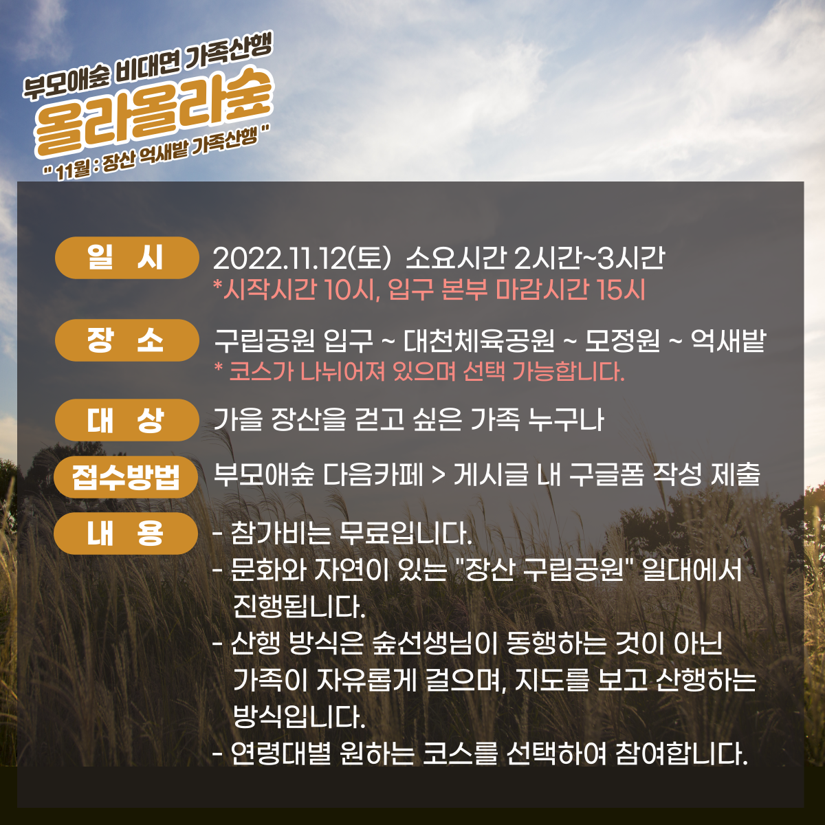 부모애숲 이미지