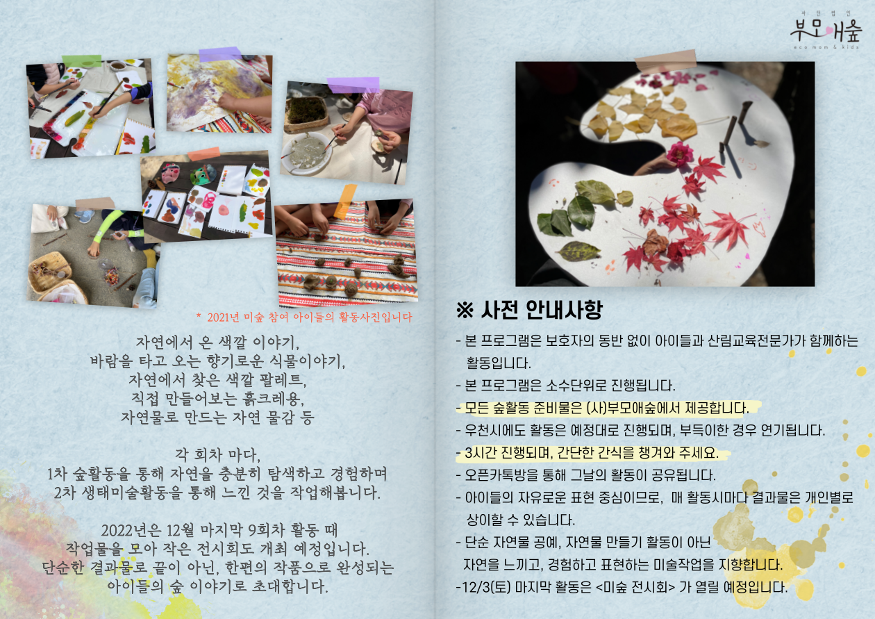 부모애숲 이미지