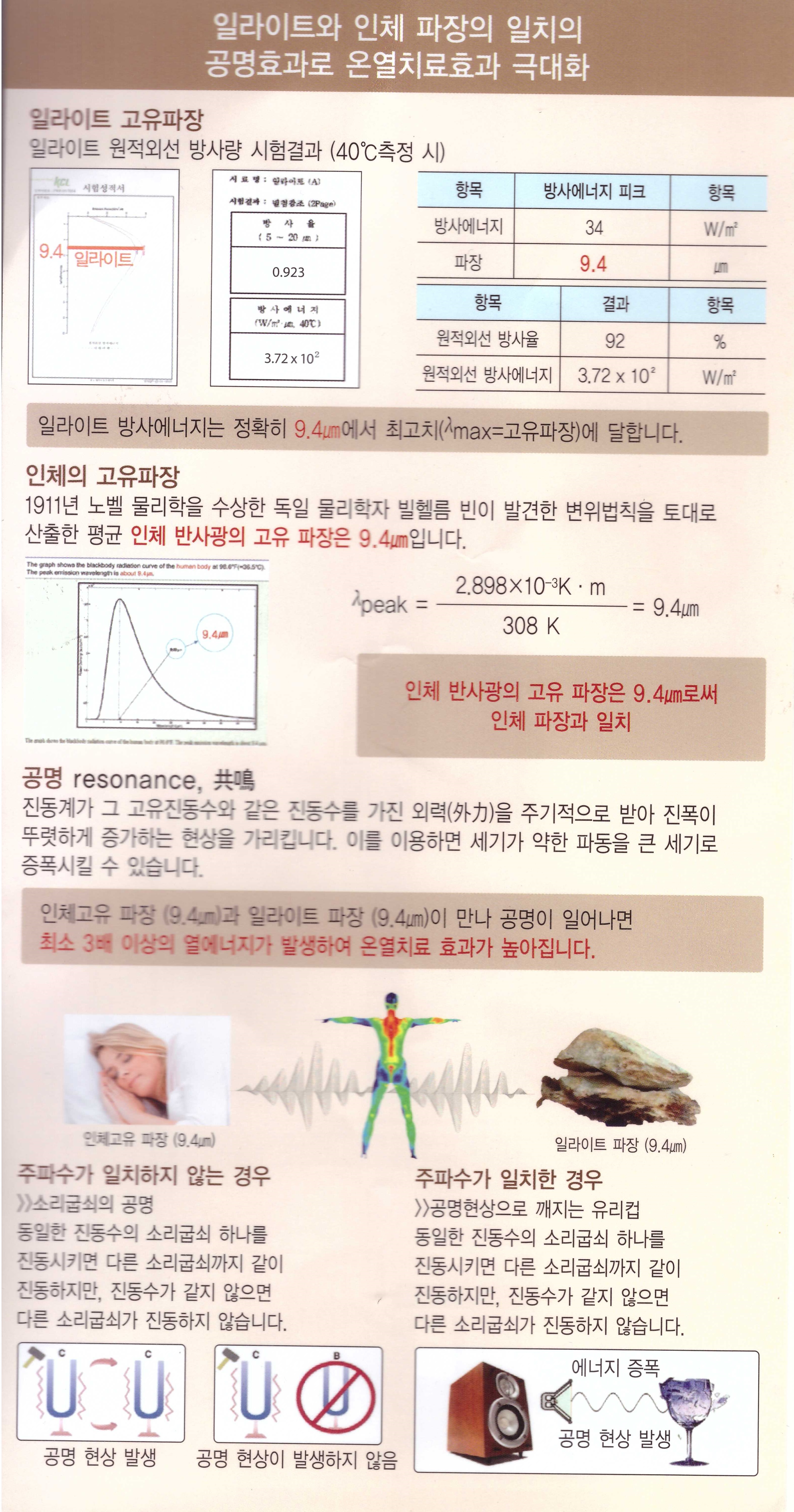 수목토일라이트 이미지