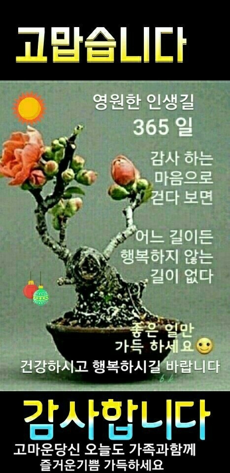 시천교 이미지