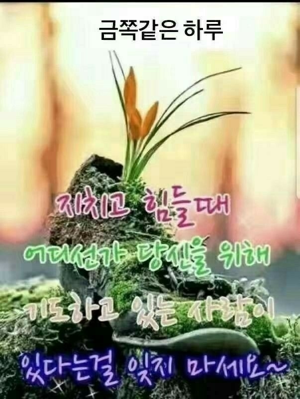 시천교 이미지