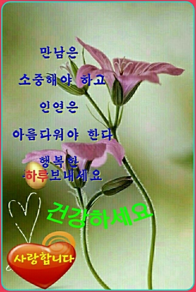시천교 이미지