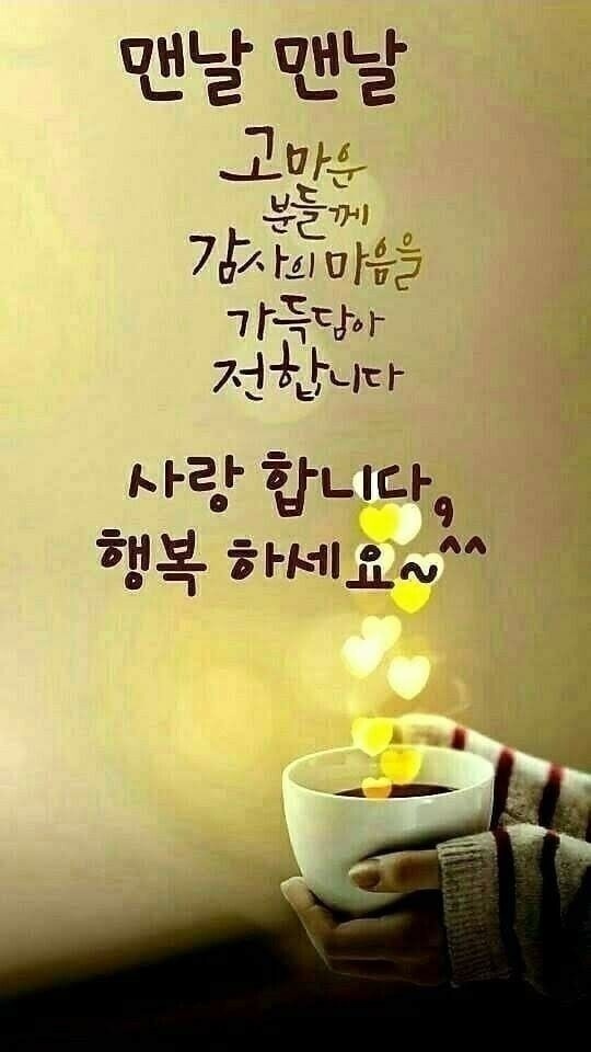 시천교 이미지