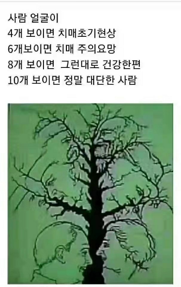 시천교 이미지