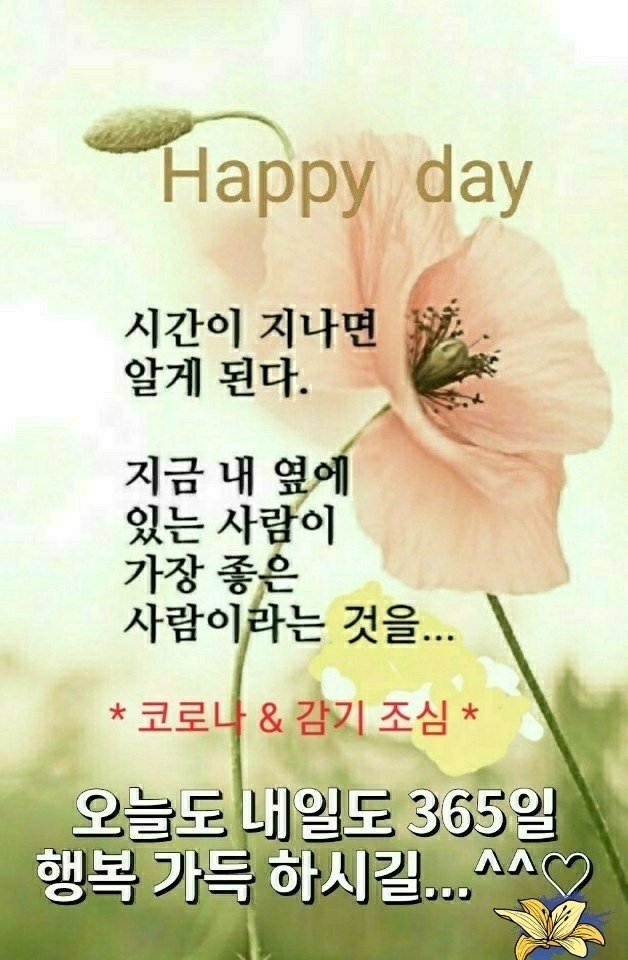 청운교 이미지