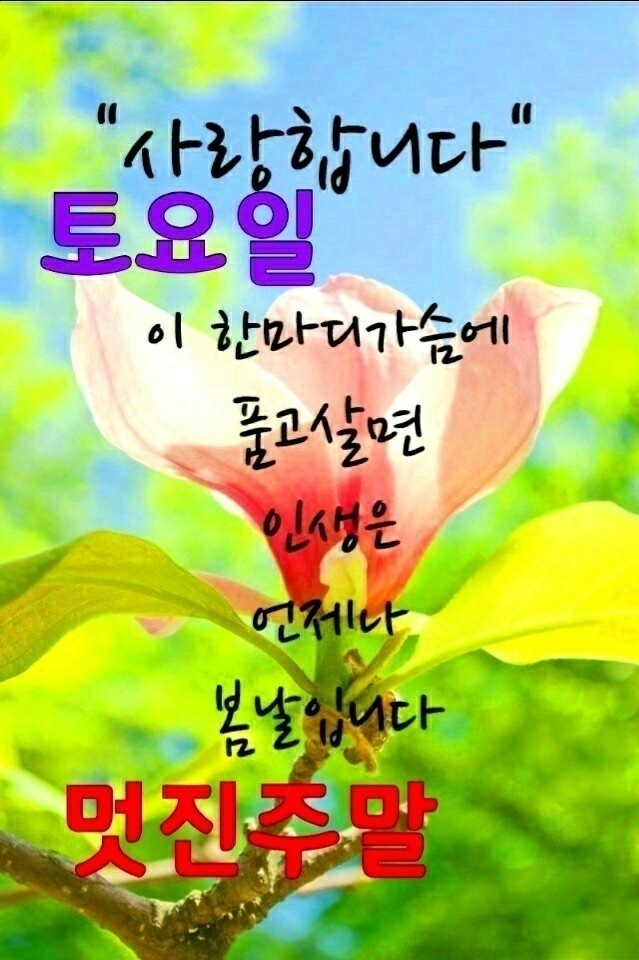 시천교 이미지