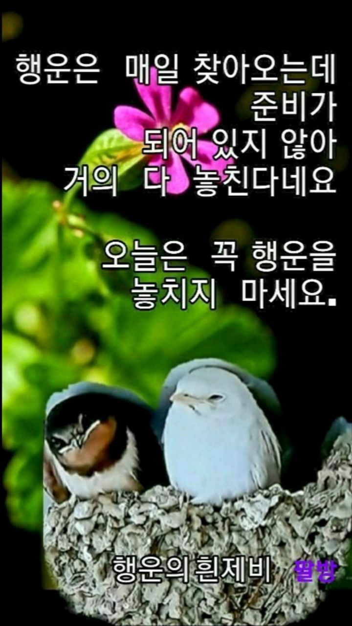 백운교 이미지
