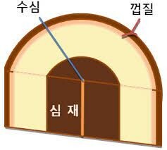 수심 이미지