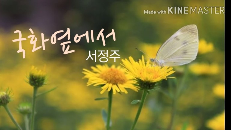 염색이야기 이미지