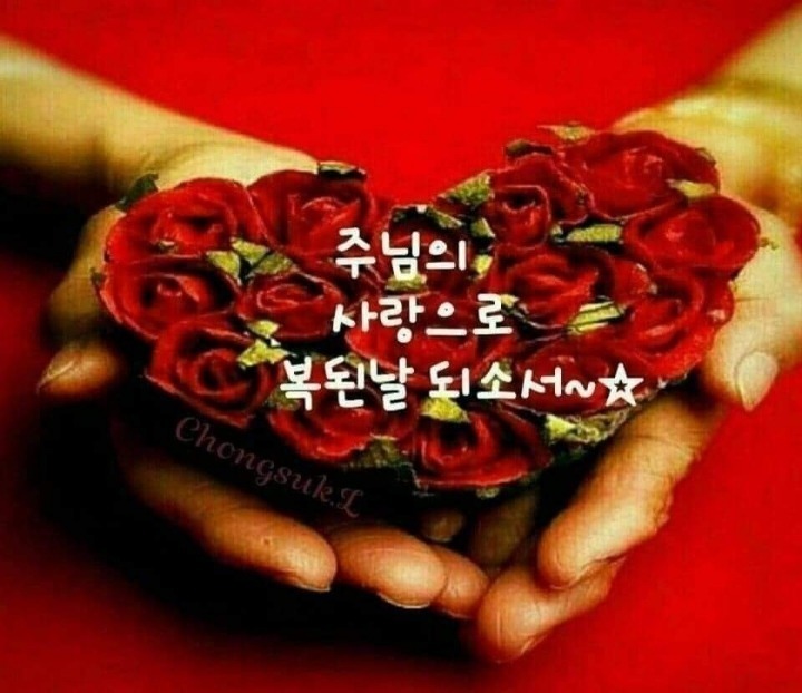 사랑으로 이미지